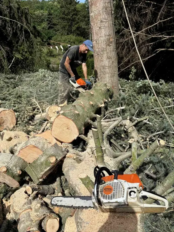 Obaranje stabala i sečenje visokih stabala